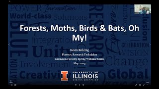 Forests, Moths, Birds, & Bats, Oh My!