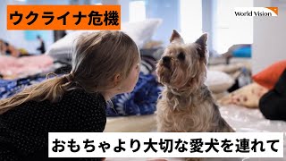 【ウクライナ危機】おもちゃよりも大切なもの