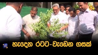 හැදෙන රටට - වැඩෙන ගසක් - Hiru News