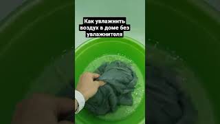 Когда в доме сухой воздух, а увлажнителя нет