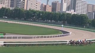 札幌競馬現地映像　札幌道新スポーツ賞勝ち馬ジネストラ池添謙一20220737