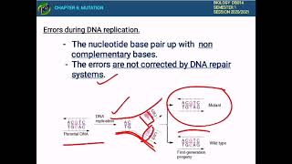 CHAPTER 6 (6.1& 6.2) MUTATION