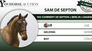 SAM DE SEPTON IN THE YOUHORSE.AUCTION 2023 UNDER THE SADDLE JUMPER 4 - 7 MARCH