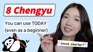8 成语 (chéngyǔ, Chinese four-character idioms) you can use TODAY (Even as a beginner)