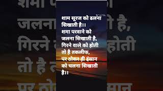 शाम सूरज को ढलना शिखाती.#viral#quotes#sayari #motivation #motivational #Hindibest motivation Sayari