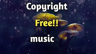 Copyright Free Music 2020🔥