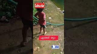 കുളത്തിലേക്ക്/നാട്ടിലെകുളം#shorts