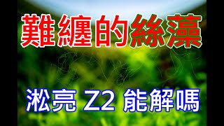 輕鬆除絲藻? | 蝦缸被一堆絲藻纏住啦 | 淞亮 Z2 實測(上) | SL AQUA AQUARIUM PLANT PROTECTOR | Clean Majority Algae Quickly