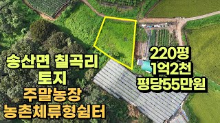 #164 화성시 송산면 칠곡리 토지매매, 숲세권청정지역 주말농장 및 농촌체류형쉼터 추천 주위시세대비 저렴한땅 220평 1억2천 평당55만원