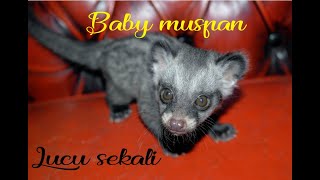 UNBOXING BABY MUSPAN LUCU ??.BABY MUSPAN LUCU SEHARGA 350