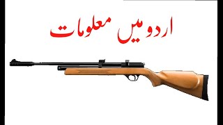 ARTEMIS CR600W CO2 AIRGUN REVIEW IN URDU