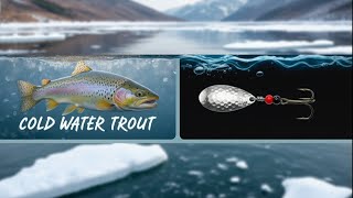 Why Fall and Winter Changes Lake Trout