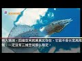 乌贼竟然是四维生物，它的眼睛可以看到三维空间以外的东西