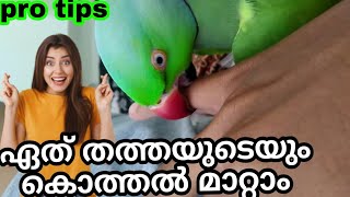 How to stop parrots from Biting | ഇനി ഒരിക്കലും തത്തകൾ നിങ്ങളെ കൊത്തില്ല #stopparrotbiting