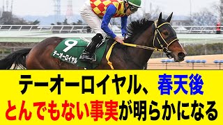 【競馬】天皇賞・春を制したテーオーロイヤル、骨折していた.....【なんJ なんG反応】