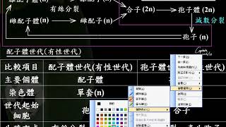 10601高一基礎生物2 3 03植物的生活史，以被子植物為例一公