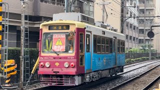 【7707F  荒川車両検修所出場試運転（全検）復路】都電荒川線（東京さくらトラム）7700形7707号車（大起エンゼルヘルプラッピング・エンジ色塗装）が王子駅近くの踏切を通過！（2024.3.12）