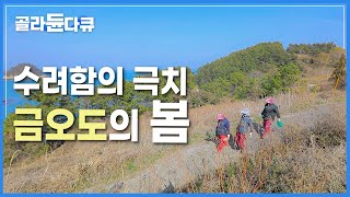 매화꽃처럼 붉게 피어난 봄 숭어 회 + 갓 수확한 방풍나물의 조합 | 입 안가득 봄의 풍미를 자랑하는 금오도의 봄 제철 음식 | 한국기행 | #골라듄다큐