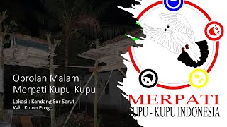 Obrolan Malam Merpati Kupu - kupu II Kandang Sor Serut