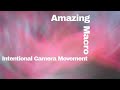 3 Tips for Creative ICM images. I capture some of my best ever images with a 15 year old Nikon D90