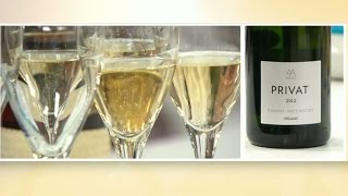 Bubbliga viner och riktig champagne - Nyhetsmorgon (TV4)
