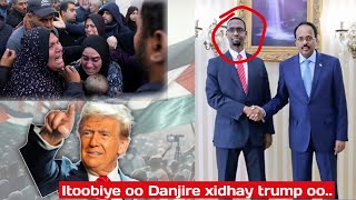 Itoobiye oo Danjire xidhay Trump oo mar kale ju celiyay barakicinta ree Qaza iyo warar kale