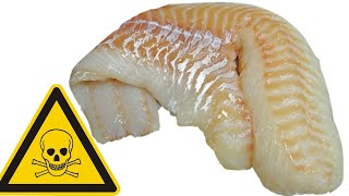 😡 Swai Fish! 5 Very Dangerous Reasons to Avoid it 😡