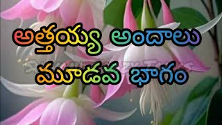 అత్తయ్య అందాలు-3 | Jeevitha Satyalu | This Is The Excellent Love Stories