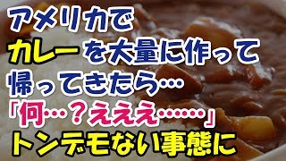 アメリカ（友）にカレーを大量に作って日本に帰ってきた。到着して電話すると「何…？えええ……」トンデモない事態に唖然