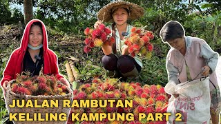 PANEN 2 POHON RAMBUTAN UNTUK DI JUAL KELILING KAMPUNG DAN PANEN PUCUK LABU KUNING