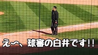 【音量注意】球審白井ストライクコール集【マツダスタジアムネット裏】