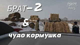 Брат 2 и Чудо кормушка