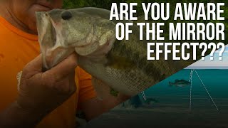 Are You Aware of the Mirror Effect?