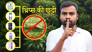 Chilli Top 5 Thrips Control New Insecticide | एक स्प्रे से 20 दिन तक थ्रिप्स की छुट्टी