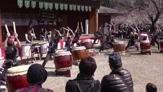 武蔵越生高校和太鼓部「青龍」想歌～雷　越生梅林梅まつり　2017.03.12