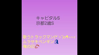 京都2歳S、キャピタルS 【決め手に欠ける本命馬VS人気薄】　歌うトラックマン🎤ムラサキペンギン🐧  俺の印🐴 #予想 　#vlog  #競馬