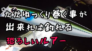 【シーバス】初心者釣れない方必見！こんなに簡単に釣れるルアー使わないと損！