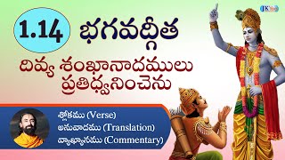 దివ్య శంఖానాదములు ప్రతిధ్వనించెను - భగవద్గీత Bhagavad Gita Verse 1.14 -Swami Mukundananda Telugu