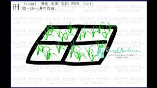 Perubahan Aksara 田 – Evolution of 田 (field) character