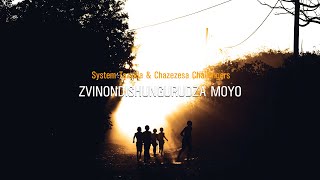 System Tazvida - Zinondishugurudza Moyo