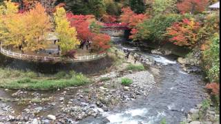 中野紅葉山