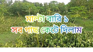 বাংলার কাশ্মীর বাগানের আপডেট