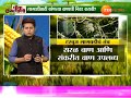 peekpani dr shyam ghavade discussion on watermelon plantation in summer season