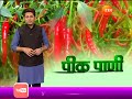 peekpani dr shyam ghavade discussion on watermelon plantation in summer season