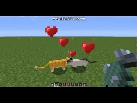 How to Tame Ocelots and get Cats and Baby Cats in Minecraft How to Tame Ocelots and get Cats and Baby Cats in Minecraft