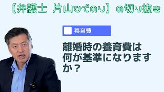 【養育費】離婚時の養育費は何が基準になりますか？婚姻費用が基準になりますか？