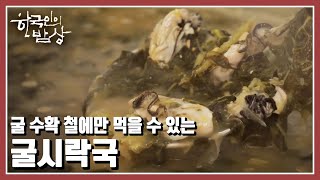 [한국인의 밥상] 고단한 작업을 잊게 해주는 꿀맛 같은 일밥을 맛본다! '어서 오시게! 남해의 겨울 진객 珍客' (KBS 20230126 방송)