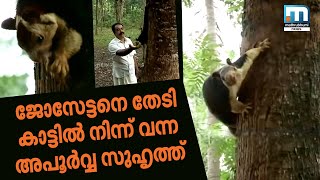 ജോസേട്ടനെ തേടി കാട്ടില്‍ നിന്ന് വന്ന അപൂര്‍വ്വ സുഹൃത്ത്