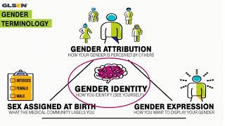 Webinar: Making Room for Gender Diversity in School-Health Services & Sex Education