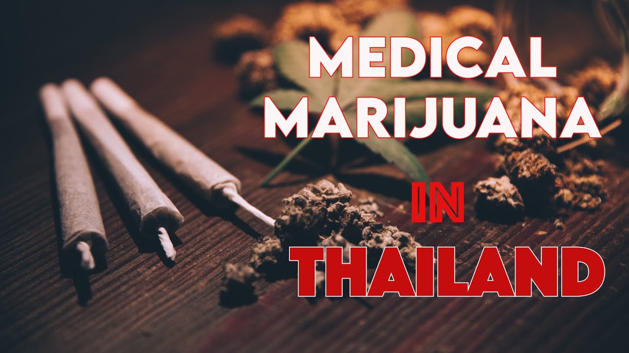 Medical Cannabis In Thailand - YouTube